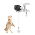 Funny Cat Teaser Ball Toy